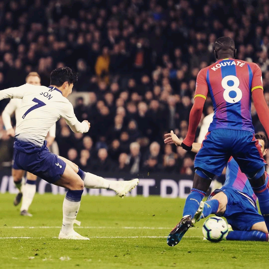 员有极高的 员有极高的